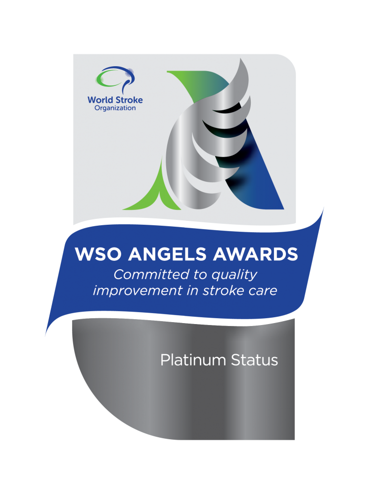 World Stroke Organization (WSO) Angels Awards - Platinum Award