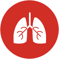 Pulmonology